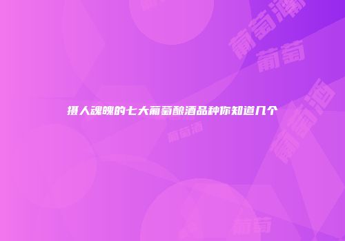 摄人魂魄的七大葡萄酿酒品种你知道几个