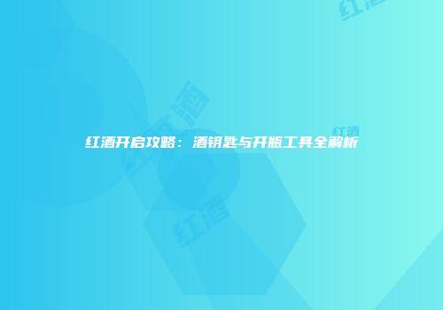 红酒开启攻略：酒钥匙与开瓶工具全解析