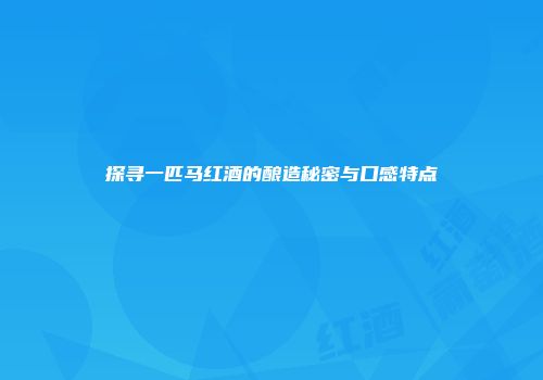探寻一匹马红酒的酿造秘密与口感特点