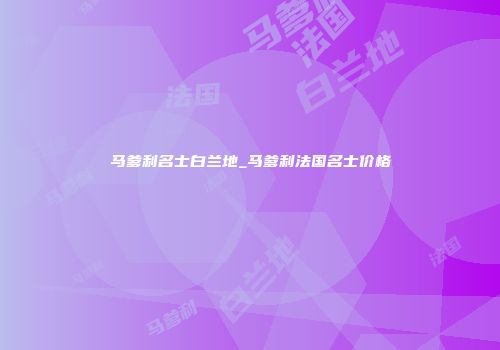 马爹利名士白兰地_马爹利法国名士价格