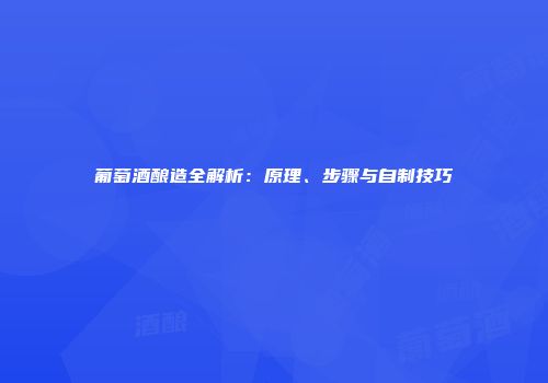 葡萄酒酿造全解析：原理、步骤与自制技巧