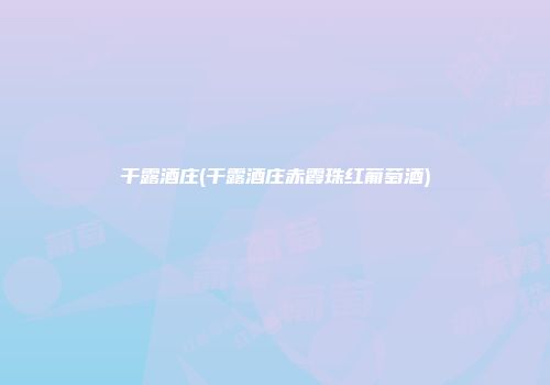干露酒庄(干露酒庄赤霞珠红葡萄酒)