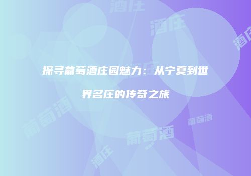 探寻葡萄酒庄园魅力：从宁夏到世界名庄的传奇之旅