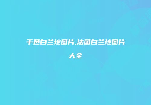 干邑白兰地图片,法国白兰地图片大全