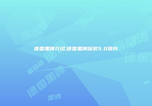 德国黑啤介绍,德国黑啤罐装5.0图片