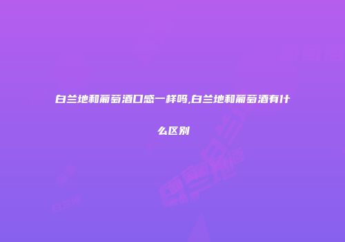 白兰地和葡萄酒口感一样吗,白兰地和葡萄酒有什么区别