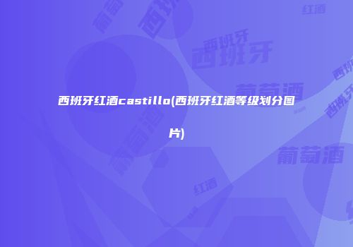 西班牙红酒castillo(西班牙红酒等级划分图片)