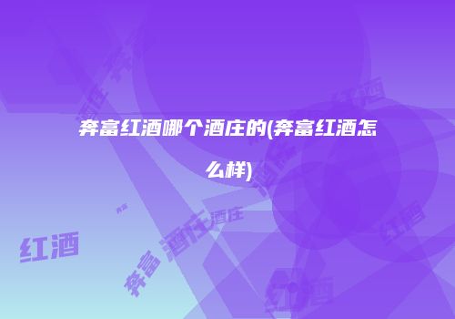 奔富红酒哪个酒庄的(奔富红酒怎么样)