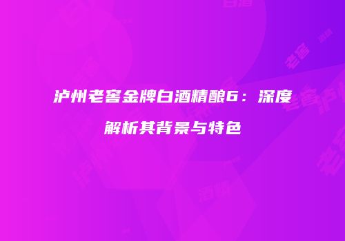 泸州老窖金牌白酒精酿6：深度解析其背景与特色