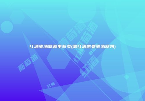 红酒醒酒器哪里有卖(喝红酒需要醒酒器吗)