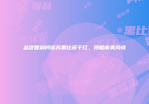 品尝智利柯诺苏黑比诺干红，领略南美风情
