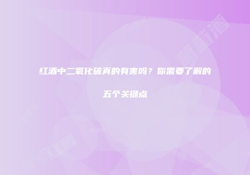 红酒中二氧化硫真的有害吗？你需要了解的五个关键点