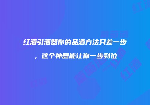 红酒引酒器你的品酒方法只差一步，这个神器能让你一步到位
