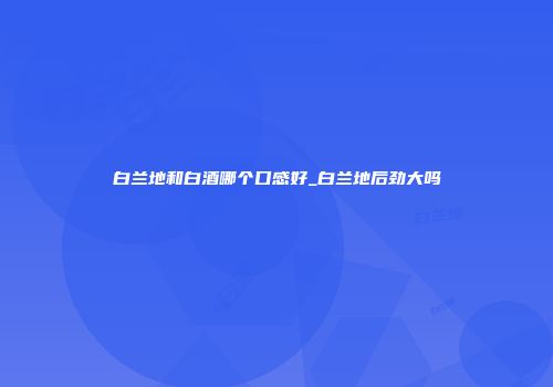 白兰地和白酒哪个口感好_白兰地后劲大吗