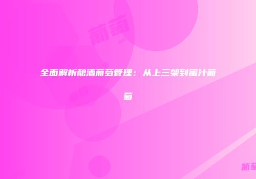 全面解析酿酒葡萄管理：从上三架到蜜汁葡萄