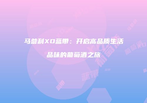 马爹利XO蓝带：开启高品质生活品味的葡萄酒之旅