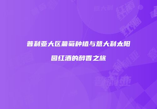 普利亚大区葡萄种植与意大利太阳园红酒的醇香之旅