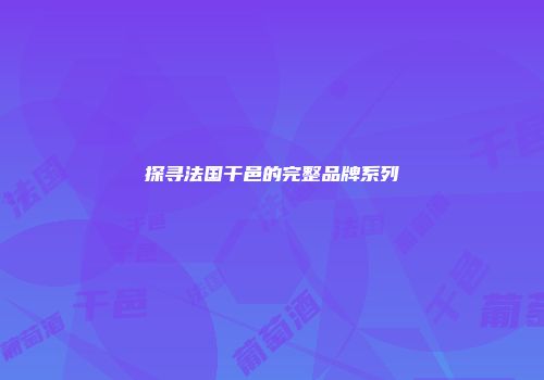 探寻法国干邑的完整品牌系列