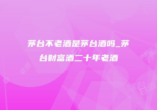 茅台不老酒是茅台酒吗_茅台财富酒二十年老酒