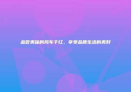 品尝美味的风车干红，享受品质生活的美好
