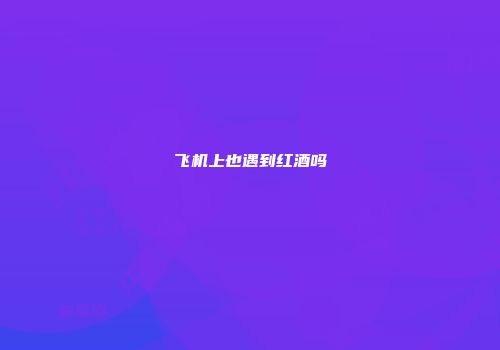 飞机上也遇到红酒吗