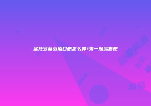 圣托罗葡萄酒口感怎么样?来一起品尝吧