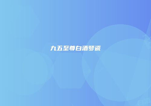 九五至尊白酒梦瓷