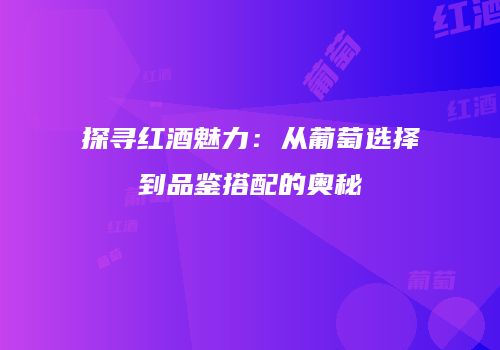 探寻红酒魅力：从葡萄选择到品鉴搭配的奥秘