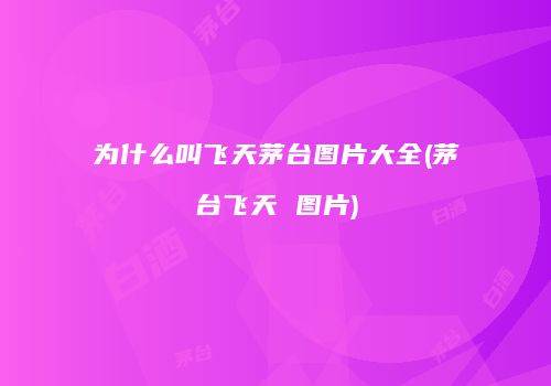 为什么叫飞天茅台图片大全(茅台飞天 图片)