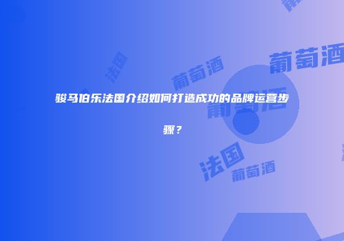 骏马伯乐法国介绍如何打造成功的品牌运营步骤？