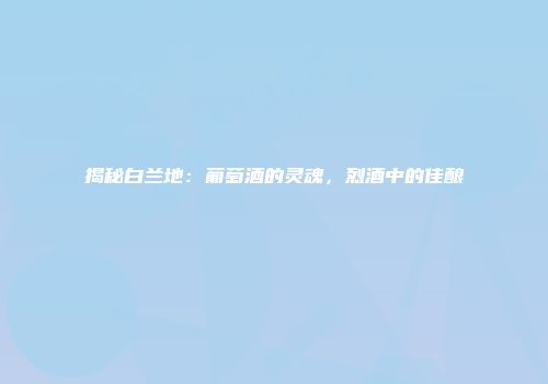 揭秘白兰地：葡萄酒的灵魂，烈酒中的佳酿