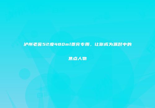 泸州老窖52度480ml贵宾专用，让你成为派对中的焦点人物