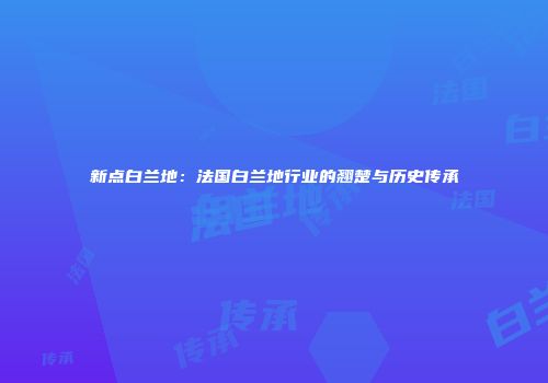 新点白兰地：法国白兰地行业的翘楚与历史传承
