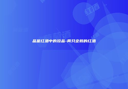 品鉴红酒中的珍品-两只企鹅的红酒