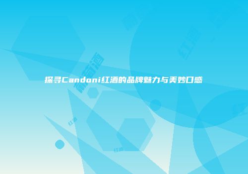 探寻Candoni红酒的品牌魅力与美妙口感