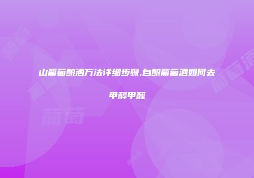 山葡萄酿酒方法详细步骤,自酿葡萄酒如何去甲醇甲醛