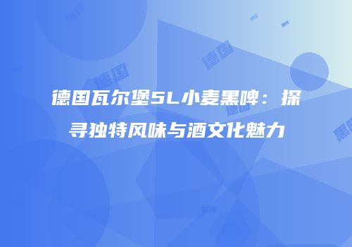 德国瓦尔堡5L小麦黑啤：探寻独特风味与酒文化魅力