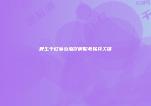 野生干红葡萄酒保质期与保存关键
