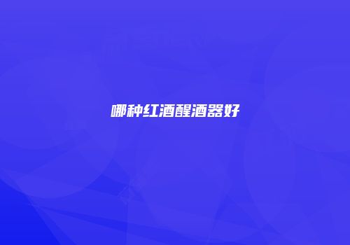 哪种红酒醒酒器好