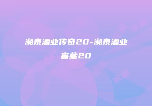 湘泉酒业传奇20-湘泉酒业窖藏20