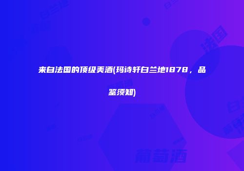 来自法国的顶级美酒(玛诗轩白兰地1878，品鉴须知)