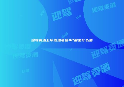 迎驾贡酒五年泥池老窖42度是什么酒