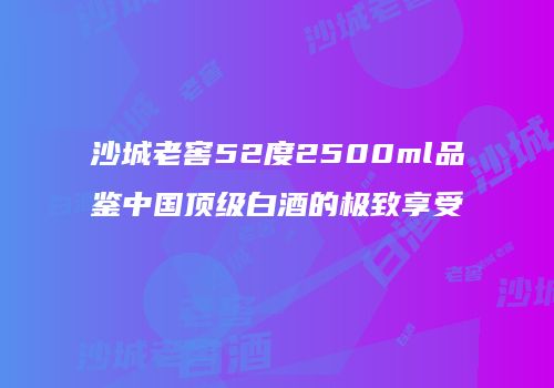 沙城老窖52度2500ml品鉴中国顶级白酒的极致享受