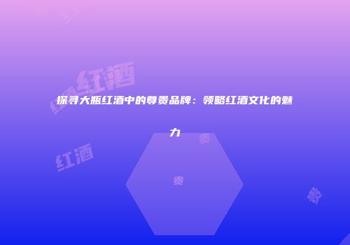 探寻大瓶红酒中的尊贵品牌：领略红酒文化的魅力