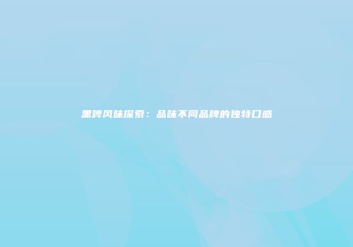 黑啤风味探索：品味不同品牌的独特口感