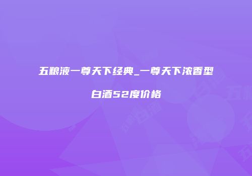 五粮液一尊天下经典_一尊天下浓香型白酒52度价格