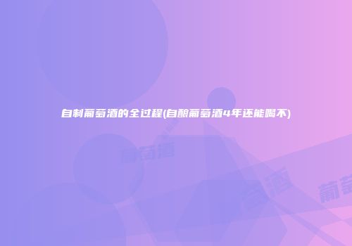 自制葡萄酒的全过程(自酿葡萄酒4年还能喝不)