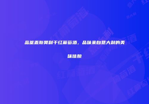 品鉴麦斯奥利干红葡萄酒，品味来自意大利的美味佳酿