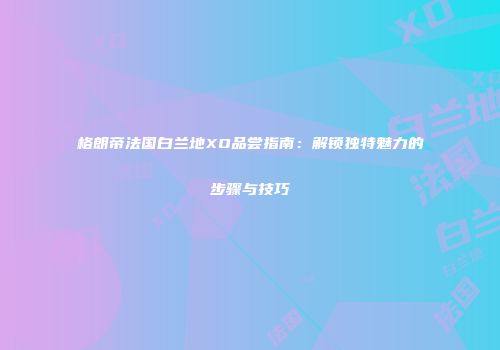 格朗帝法国白兰地XO品尝指南：解锁独特魅力的步骤与技巧