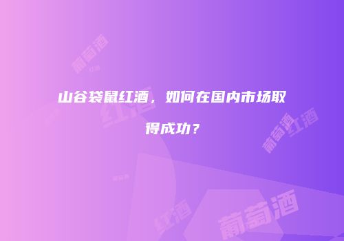 山谷袋鼠红酒，如何在国内市场取得成功？